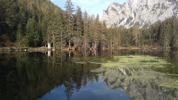 Grüner See 3