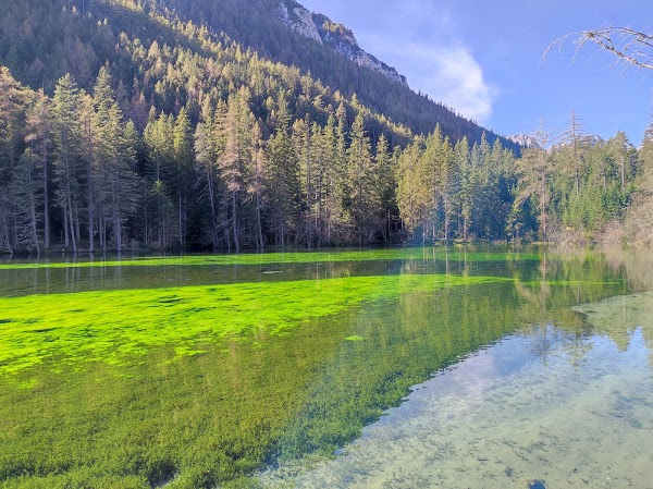 Grüner See 2