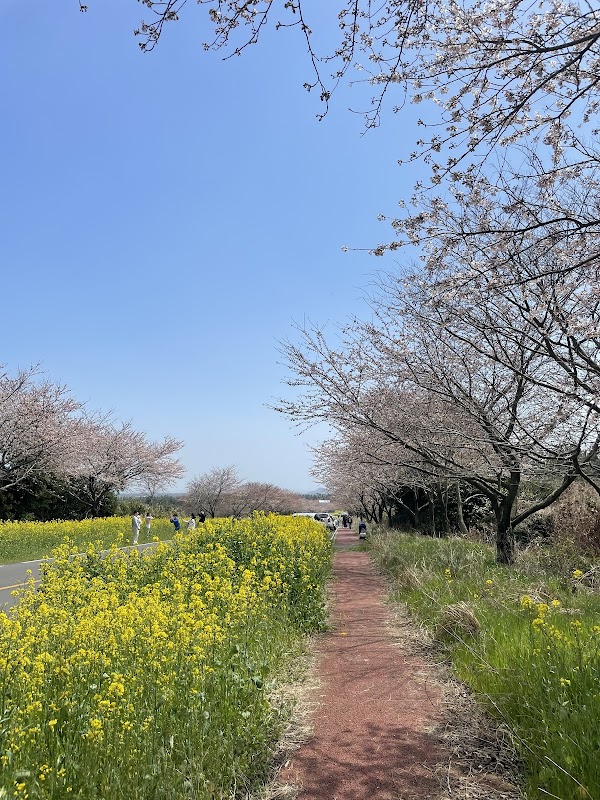 Noksan-ro 1