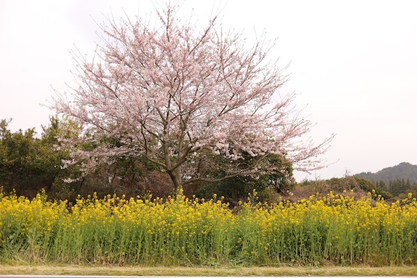 Noksan-ro 3
