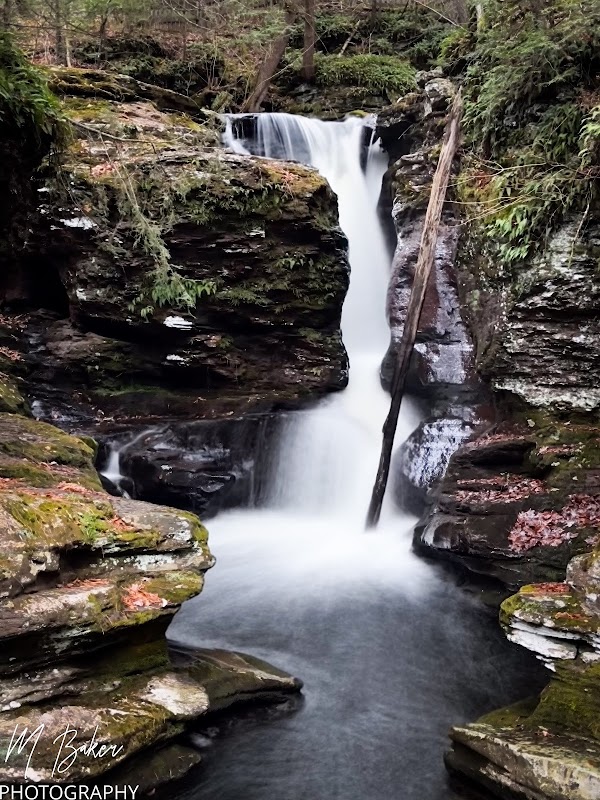 Ricketts Glen State Park 3