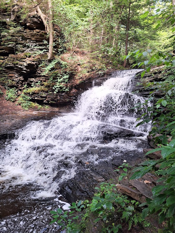 Ricketts Glen State Park 2