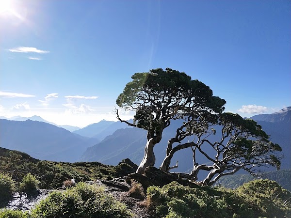 Hehuanshan North Peak Trail