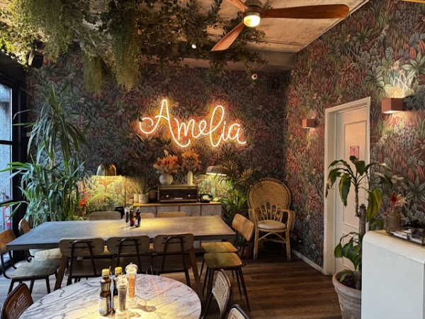 Amélia Lisboa 3