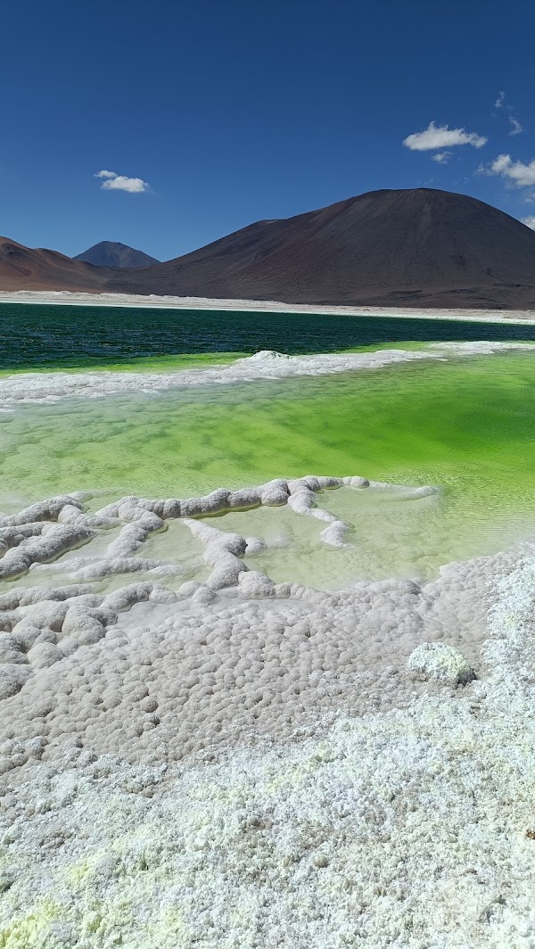 Salar de Gorbea
