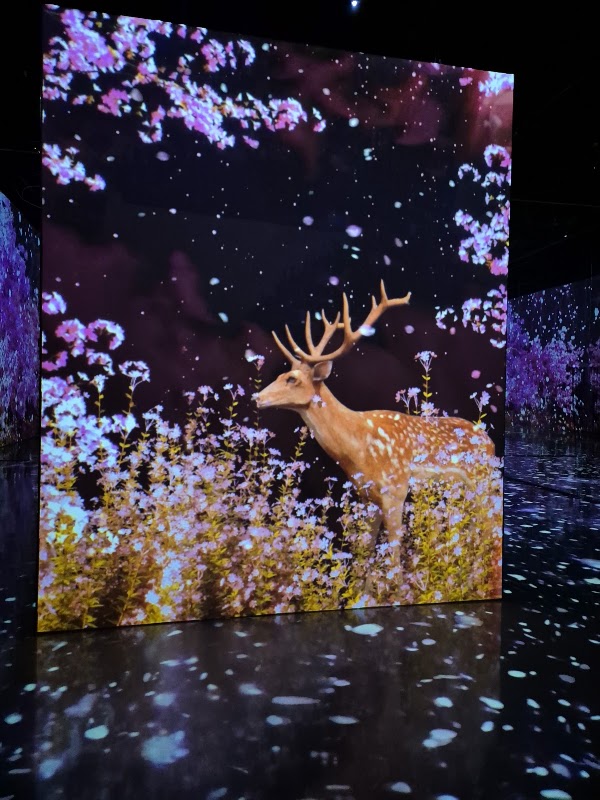 주식회사 아이바가든 2