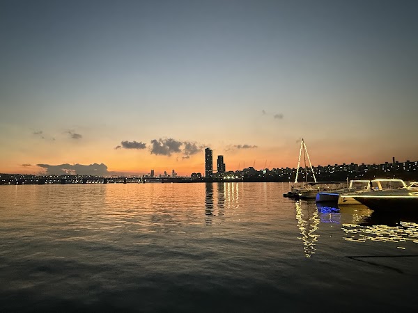 골든블루마리나 5