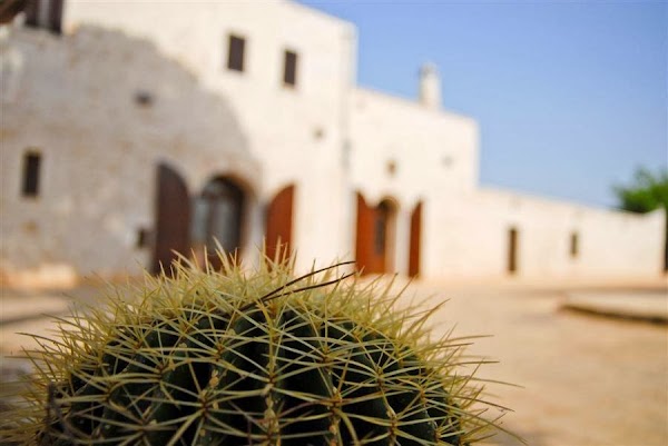 Masseria Valente