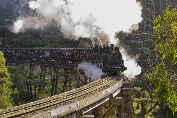 Puffing Billy Railway Trestle Bridge