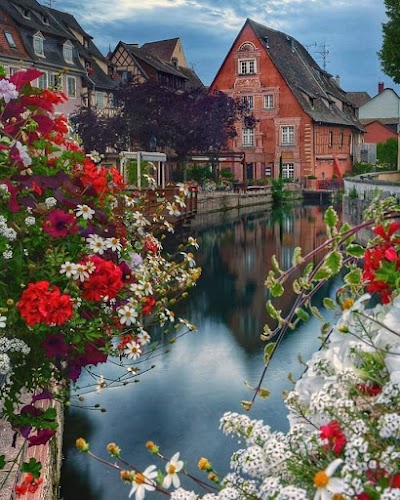 Colmar 1