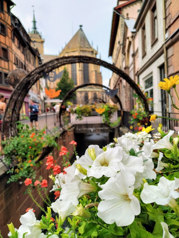 Colmar 5