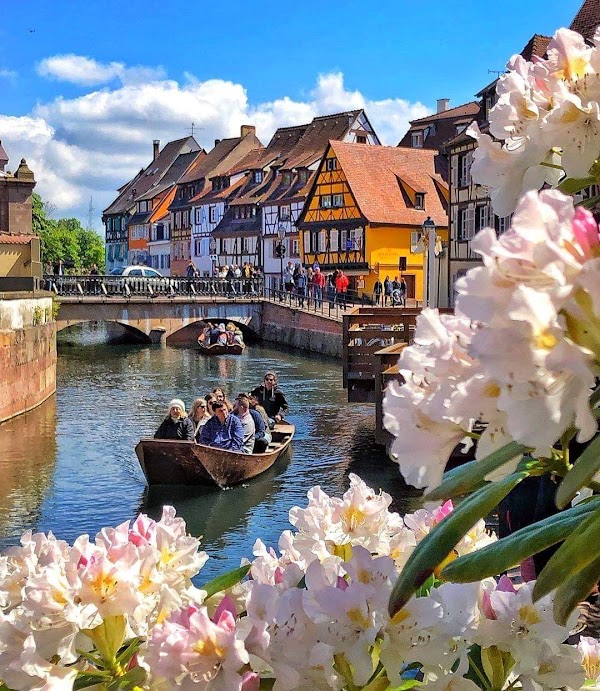 Colmar 3