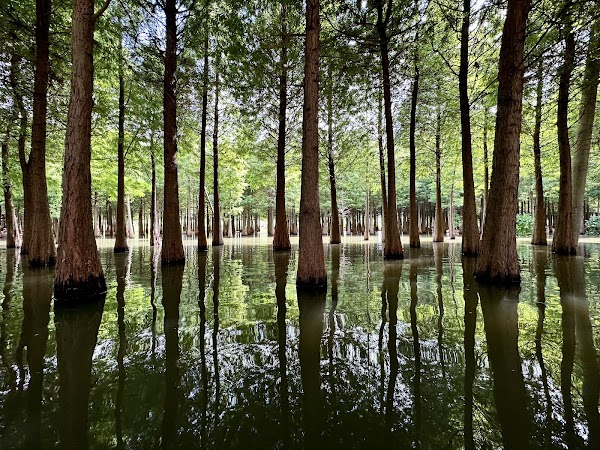 Haidong Wetland Park