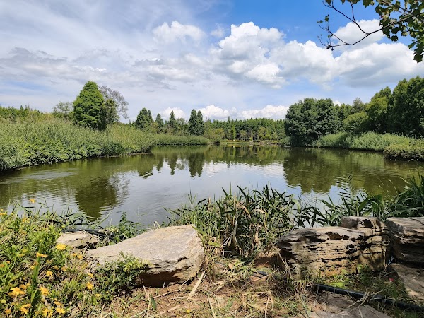 Haidong Wetland Park 5