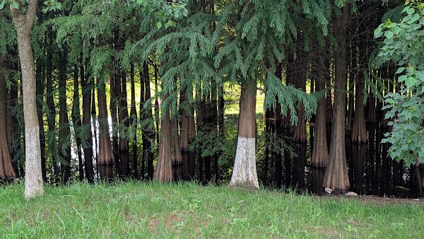 Haidong Wetland Park 4