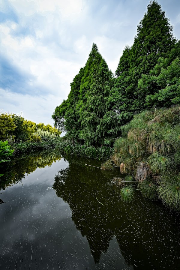 Haidong Wetland Park 3