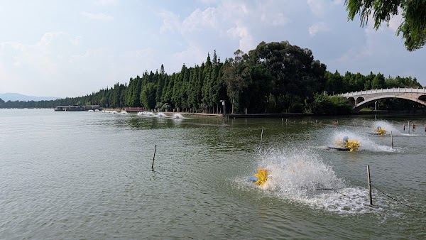 Haidong Wetland Park 2