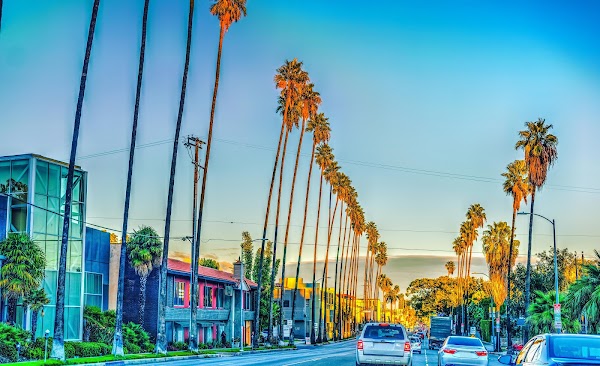Sunset Boulevard 5