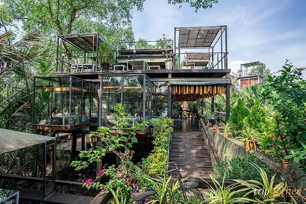 Bangkok Tree House