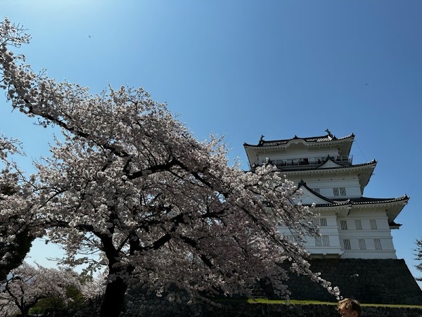 Odawara