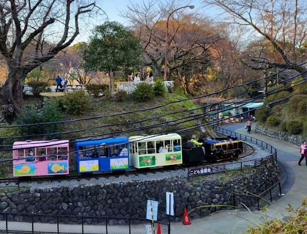 Odawara 5