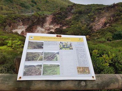 Furnas do Enxofre