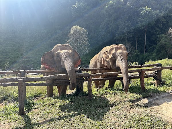 Joy Elephant Sanctuary, Chiang Mai (Office)