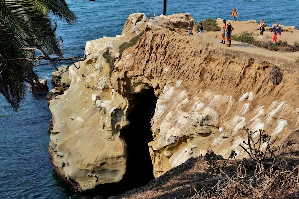 La Jolla 5