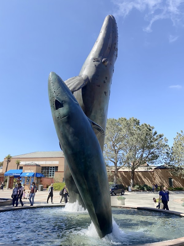La Jolla 4