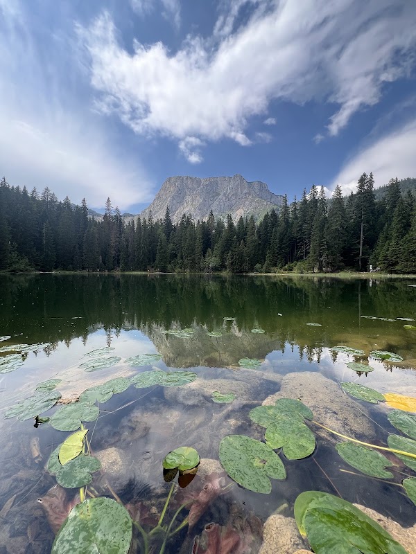 Zminje lake