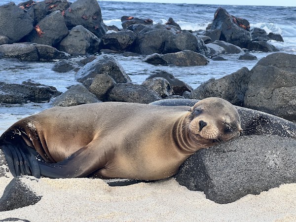 Galápagos Islands 2