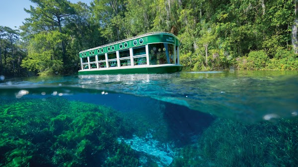 Silver Springs State Park Glass Bottom Boat Tours 1
