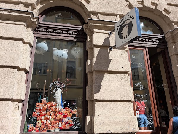 MiniPig Cafe Budapest 2