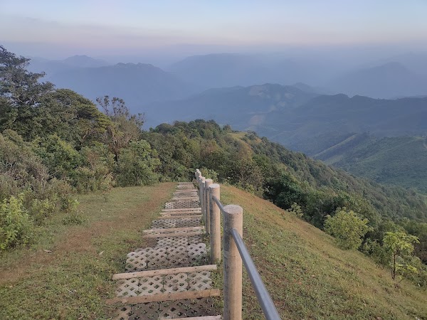Doi Pui Co
