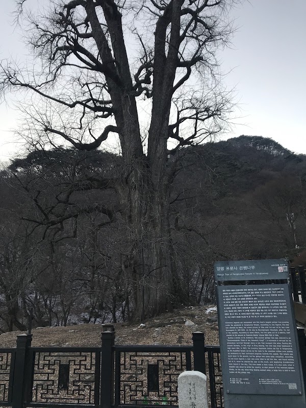 Yongmunsan Yongmunsa Temple 3