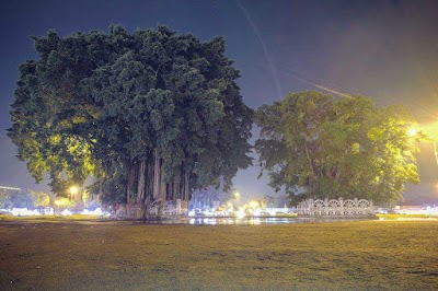 Alun-Alun Kidul Street