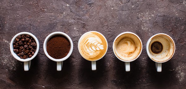 The Cozy Cup 1
