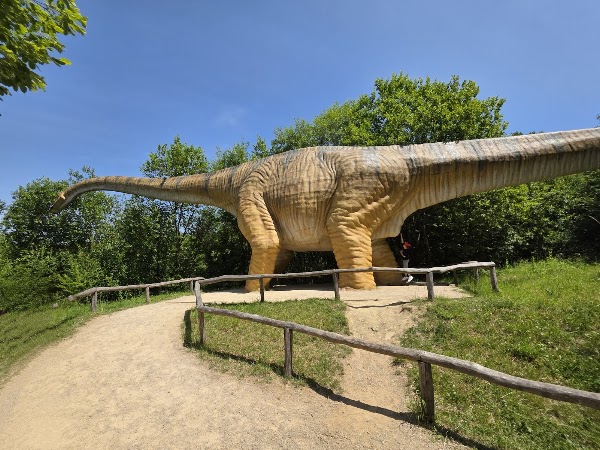 Dinosaurierpark Teufelsschlucht 5