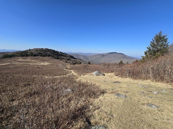 Lewis Fork Wilderness 1