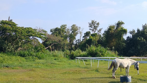 The Stable, Tuaran 5