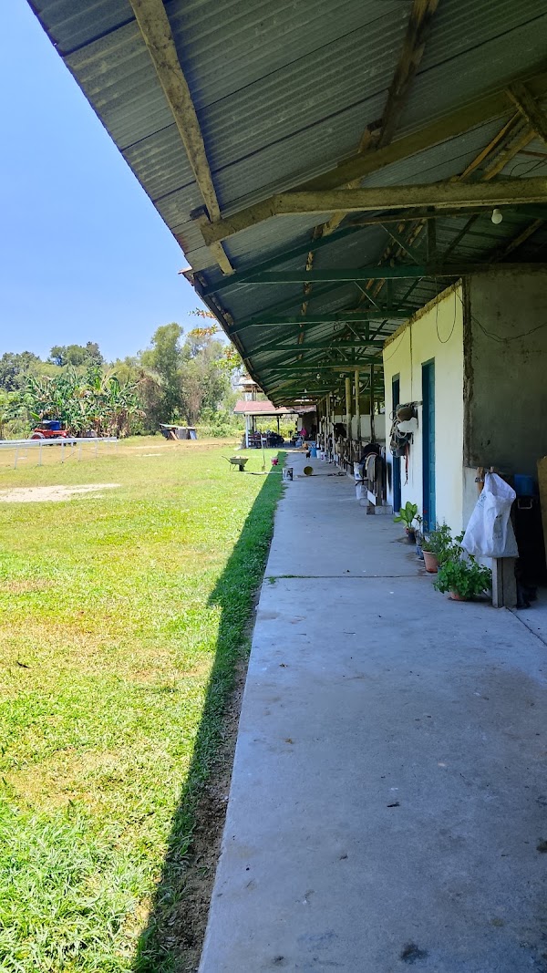 The Stable, Tuaran 3