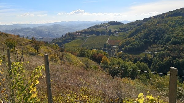Loazzolo