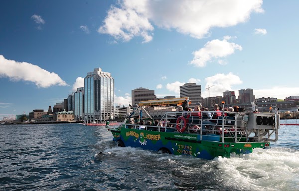 Harbour Hopper Tours
