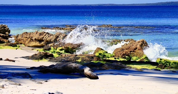 Hyams Beach 1