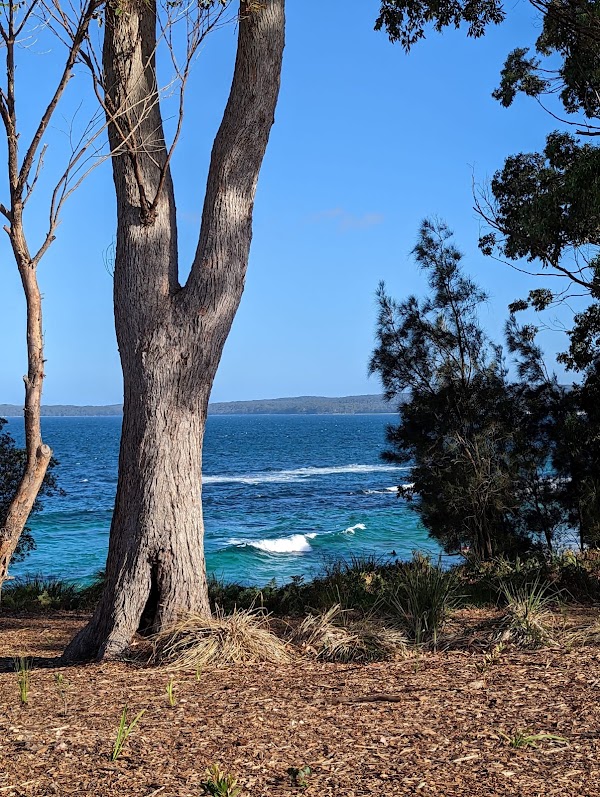 Hyams Beach 3
