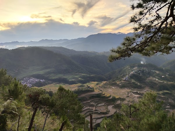 Maligcong Rice Terraces 5