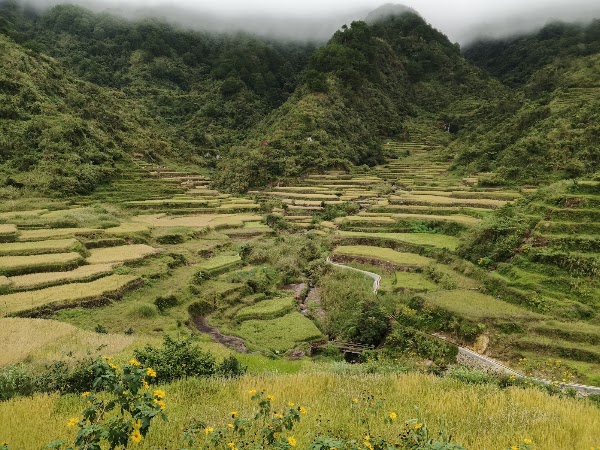 Maligcong Rice Terraces 4