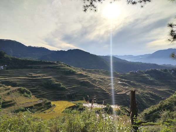 Maligcong Rice Terraces 2