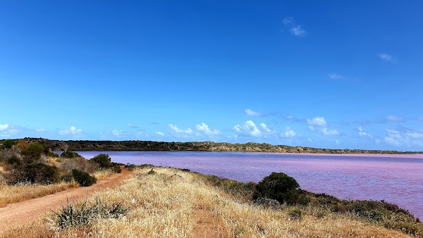 Hutt Lagoon Pink Lake 4