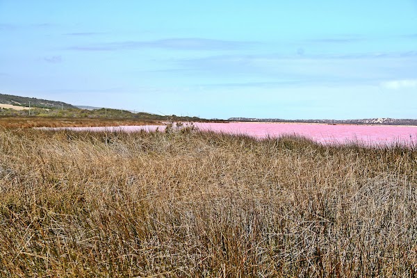 Hutt Lagoon Pink Lake 3